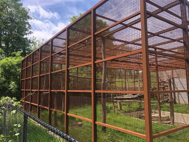 WhatsApp Image 2022-10-27 at 10.00.35